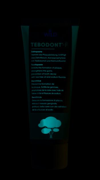 Tebodont -F Zubná pasta s fluoridmi 75 ml
