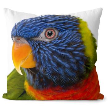 Vankúš Farebný papagáj (Veľkosť: 40 x 40 cm)