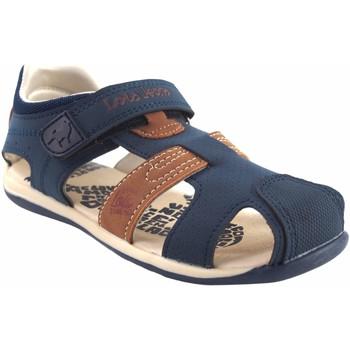 Lois  Univerzálna športová obuv Sandále chlapecké  46154 modré  Hnedá
