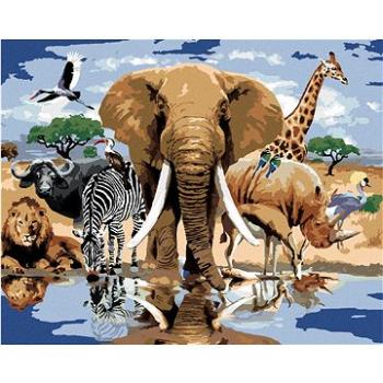 Maľovanie podľa čísel – Zvieratá pri oáze Afrika (Howard Robinson) (HRAbz33399nad)