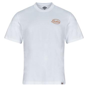 Dickies  DICKIES GLOBE TEE SS  Tričká s krátkym rukávom Biela