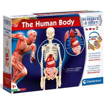 Ľudské telo (8005125503322)