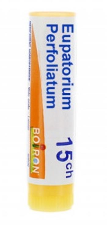 Boiron Eupatorium Perfoliatum CH15 granule 4 g