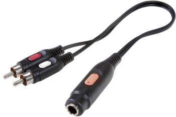 SpeaKa Professional SP-7869828 cinch / jack audio predlžovací kábel [2x cinch zástrčka - 1x jack zásuvka 6,35 mm] 20.00