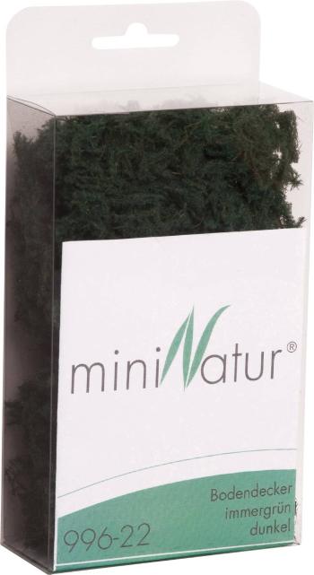 Mininatur 996-22 pôdopokryvné rastliny  strakato (tmavá)