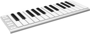 CME Xkey 25