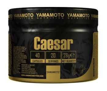 Caesar (Super kombinácia 3 adaptogénov) - Yamamoto 40 kaps.