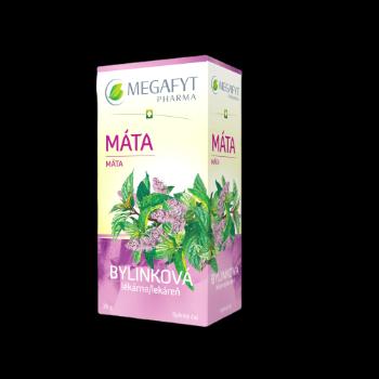 MEGAFYT Bylinková lekáreň Mata vrecúška 20 x 1.5 g