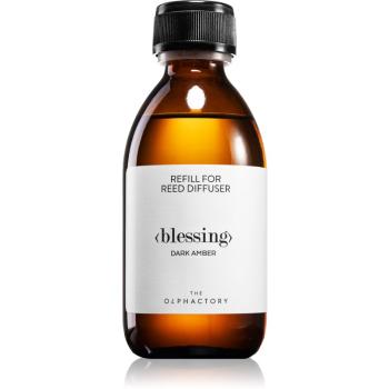 Ambientair Olphactory Dark Amber náplň do aróma difuzérov Blessing 250 ml