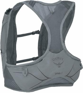 Osprey Dyna LT Slate Grey L