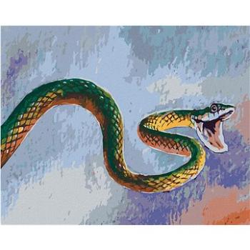 Maľovanie podľa čísel - Zelený had (HRAbz33523nad)