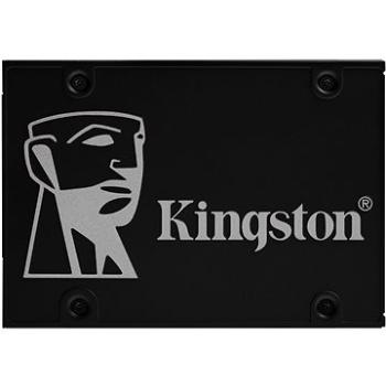 Kingston SKC600 256GB Notebook Upgrade Kit (SKC600B/256G)