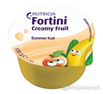 Fortini Creamy Fruit Multi Fibre príchuť letné ovocie 4x100 g