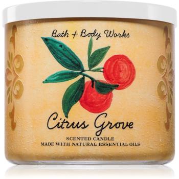 Bath & Body Works Citrus Grove vonná sviečka 411 g