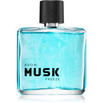 Avon Musk Freeze toaletná voda pre mužov 75 ml