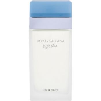 DOLCE&GABBANA Light Blue Toaletná voda 100 ml