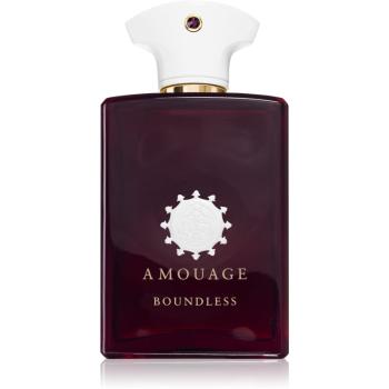 Amouage Boundless parfumovaná voda unisex 100 ml