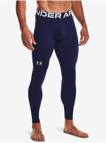 Tepláky pre mužov Under Armour - modrá