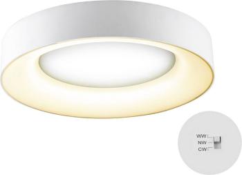 EVN  R40250125 LED stropné svietidlo biela 25 W #####Warmweiß bis Tageslichtweiß možná montáž na stenu