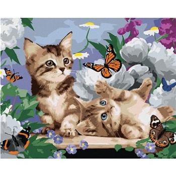 Maľovanie podľa čísel - Mačiatka, motýle a pivónie (Howard Robinson) (HRAbz33442nad)