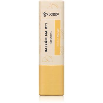 Lobey Skin Care Lip Balm balzam na pery odtieň Mango 5 g