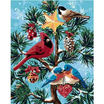 Maľovanie podľa čísel – Vtáčiky a vianočný stromček (HRAmal00399nad)