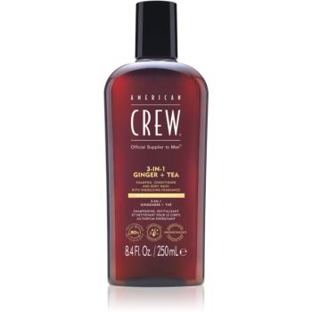 American Crew 3 in 1 Ginger + Tea 3 v 1 šampón, kondicionér a sprchový gél pre mužov 250 ml