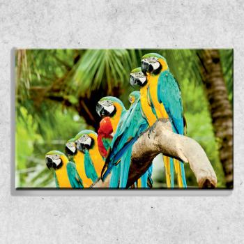 Foto na plátně Papagáje 90x60 cm