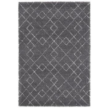 Kusový koberec Allure 104392 Darkgrey/Cream 120 × 170 cm (273092-95186)