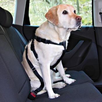 Nobby bezpečnostný postroj pre psa do auta M