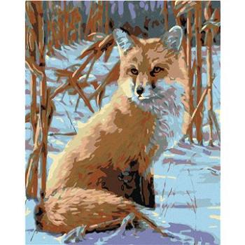 Maľovanie podľa čísel – Striehnúca líška (HRAmal00385nad)