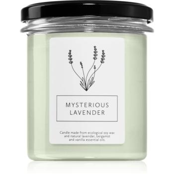 Hagi Mysterious Lavender vonná sviečka 230 g