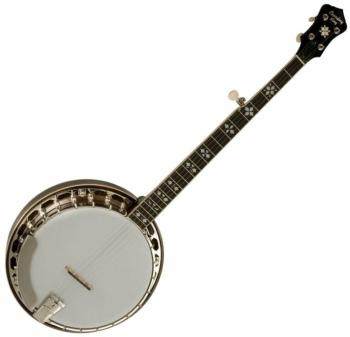 Recording King RK-R20 Songster Banjo