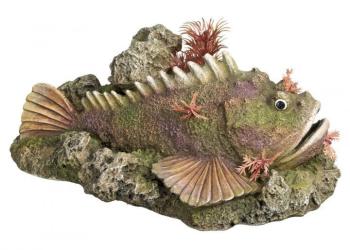 Nobby Stone Fish With Plants 21x14,5x9 cm