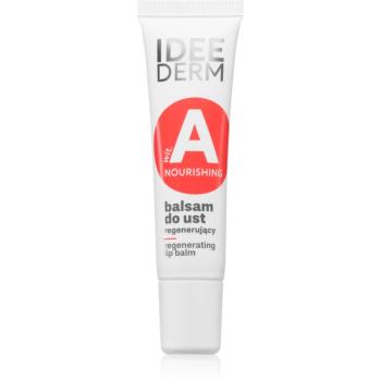 Ideepharm Idee Derm Vitamin A regeneračný balzam na pery 12 ml