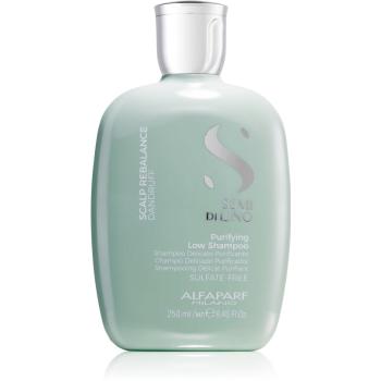 Alfaparf Milano Semi Di Lino Scalp Rebalance jemný čistiaci šampón proti lupinám 250 ml