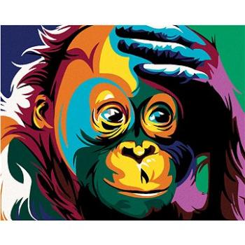 Maľovanie podľa čísel – Malá farebná opička (HRAmal00480nad)