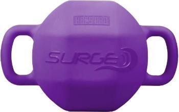 Bosu Hydro Ball 25 Pro 2 kg-11,3 kg Violet Jednoručná činka