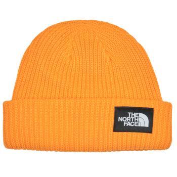 The North Face  SALTY LINED BEANIE  Čiapky Žltá