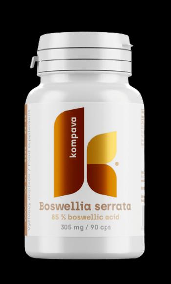 Kompava Boswellia serrata 305 mg 90 kapsúl
