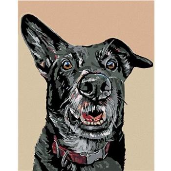 Maľovanie podľa čísel – Čierny pes a nastražené ucho (HRAmal01019nad)