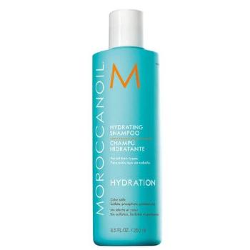 Moroccanoil Hydratačný šampón s arganovým olejom pre všetky typy vlasov (Hydrating Shampoo) 250 ml