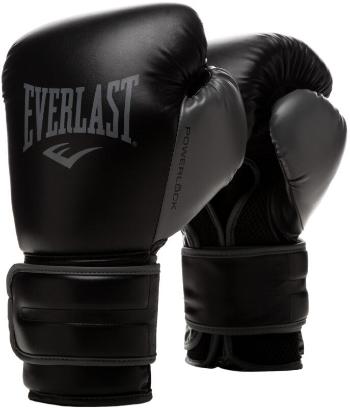 Everlast Powerlock 2R Training Gloves Black 14 oz