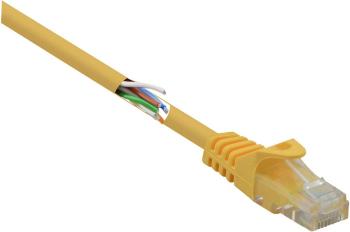 Basetech BT-2272262 RJ45 sieťové káble, prepojovacie káble CAT 5e U/UTP 0.15 m žltá s ochranou 1 ks