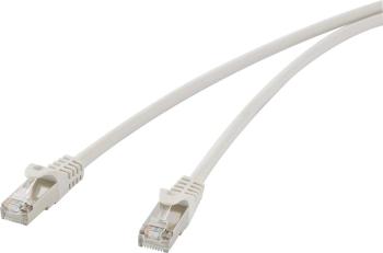 Renkforce RF-4541484 RJ45 sieťové káble, prepojovacie káble CAT 5e F/UTP 25.00 cm sivá s ochranou 1 ks