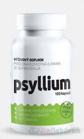 Top Green Psyllium 100 ks
