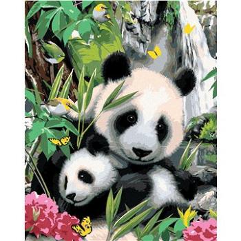 Maľovanie podľa čísel – Panda s mláďaťom a vodopád (Howard Robinson) (HRAbz33441nad)
