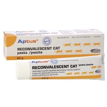 Aptus Reconvalescent Cat - Pasta, 60 g (6432100013170)