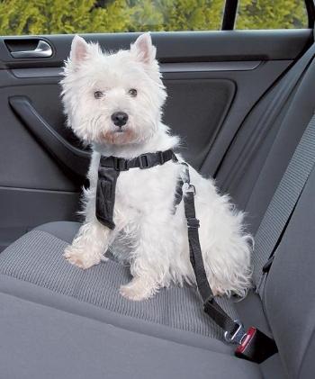 Nobby bezpečnostný postroj pre psa do auta S