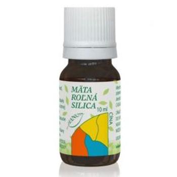 Hanus Mäta roľná silica 10 ml